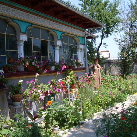Flori din Herastrau(mihaela)